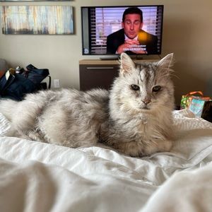 Meet your Posher, Jada